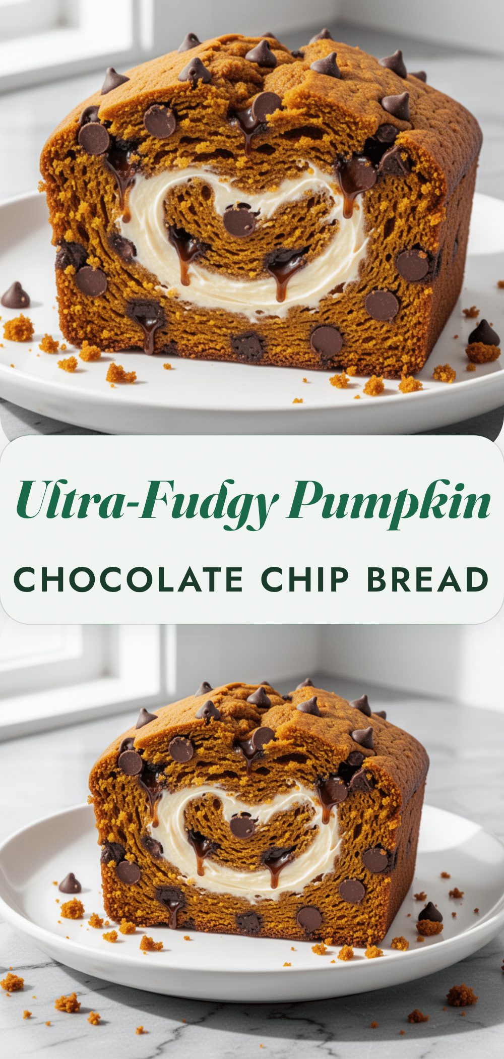 Fudgy Pumpkin Chocolate Chip Bread 5 fudgy pumpkin chocolate chip bread recipe