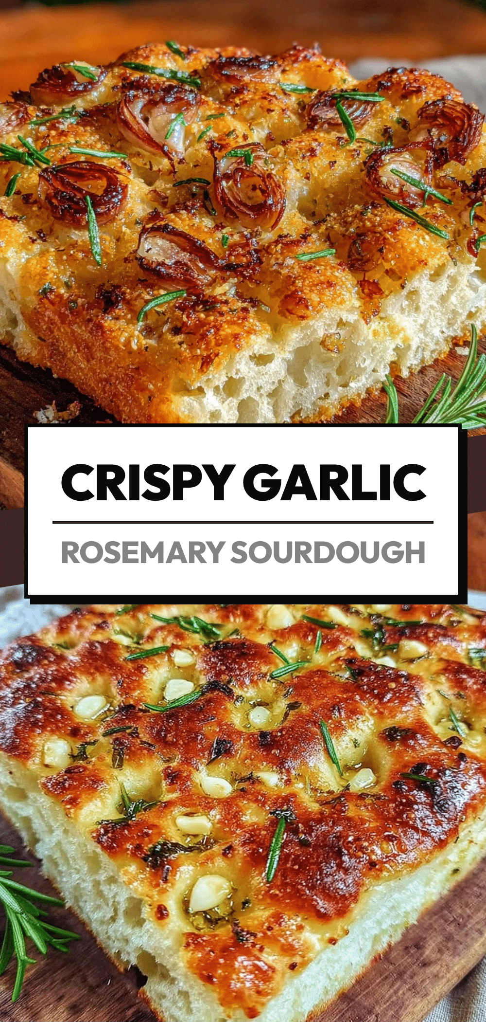 Beginner Sourdough Focaccia: Make It While Its at Its Best 5 beginner sourdough focaccia recipe