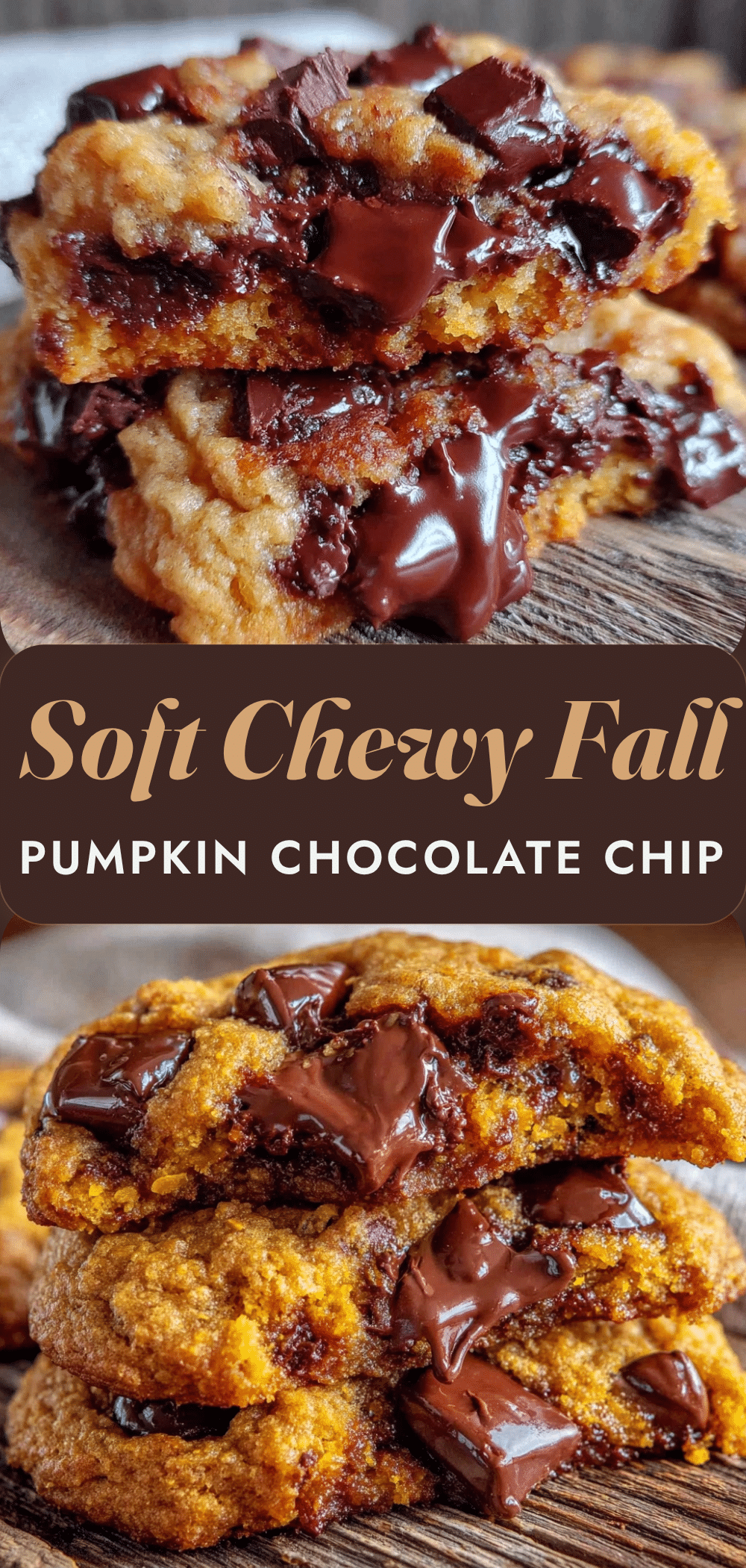 Soft Pumpkin Chocolate Chip Cookies: Make While Its Best 5 soft pumpkin chocolate chip cookies recipe